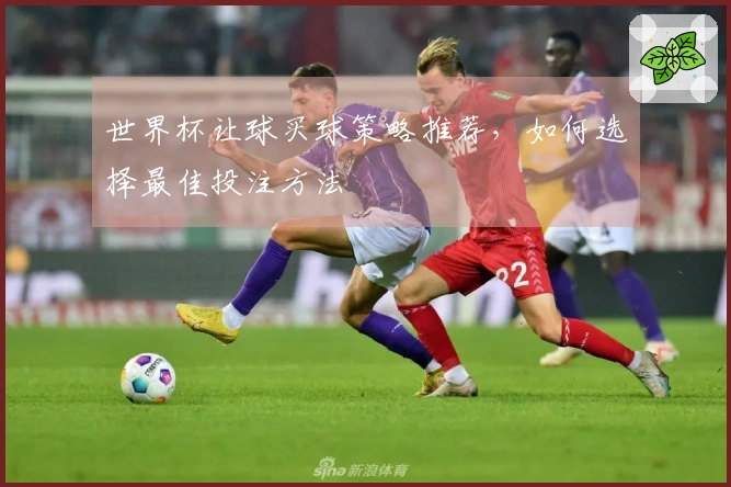 世界杯让球买球策略推荐，如何选择最佳投注方法