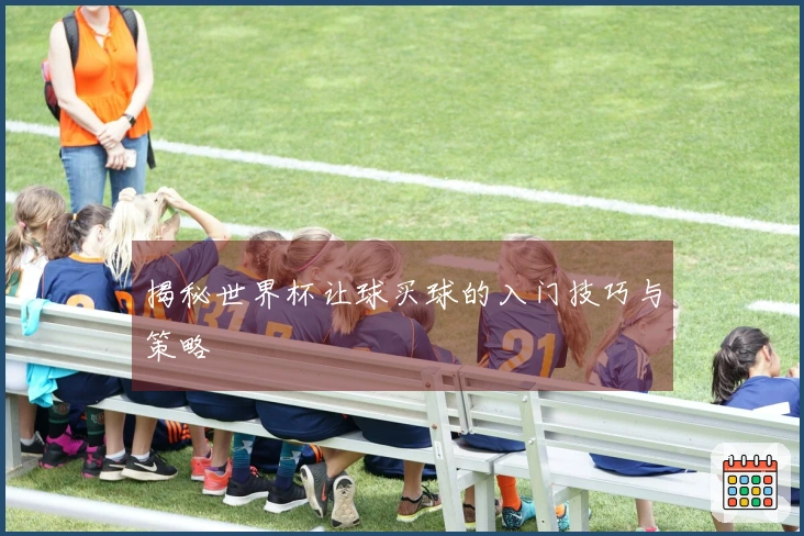 揭秘世界杯让球买球的入门技巧与策略