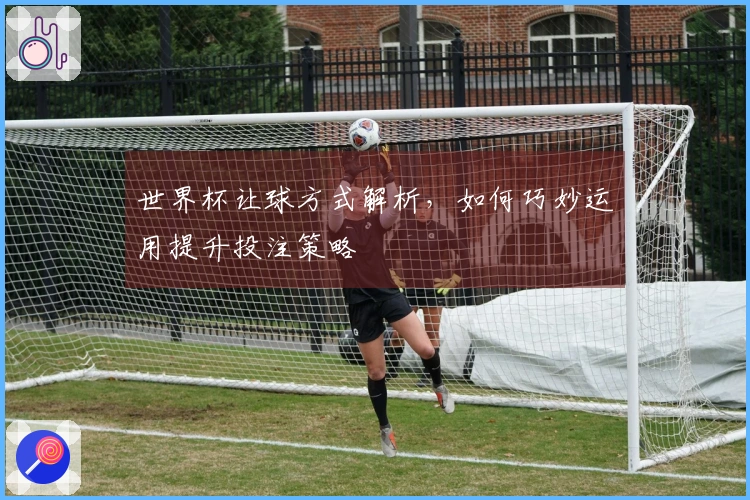 世界杯让球方式解析，如何巧妙运用提升投注策略
