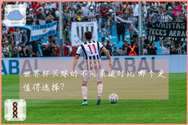 世界杯买球的不同渠道对比 哪个更值得选择？