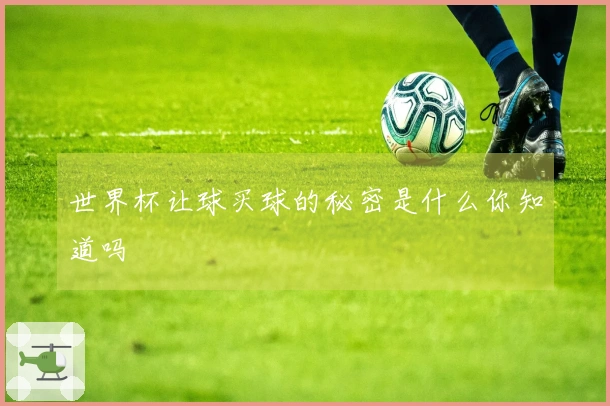 世界杯让球买球的秘密是什么你知道吗