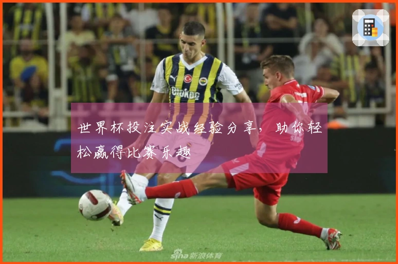 世界杯投注实战经验分享，助你轻松赢得比赛乐趣