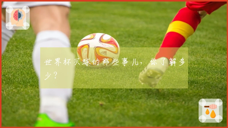 世界杯买球的那些事儿，你了解多少？