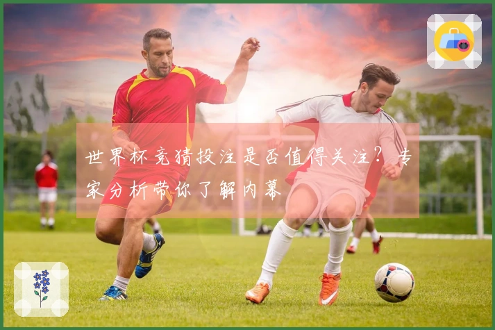 世界杯竞猜投注是否值得关注？专家分析带你了解内幕