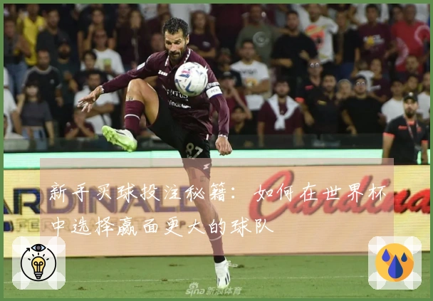 新手买球投注秘籍：如何在世界杯中选择赢面更大的球队