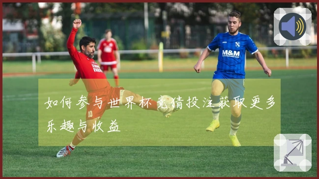 如何参与世界杯竞猜投注获取更多乐趣与收益