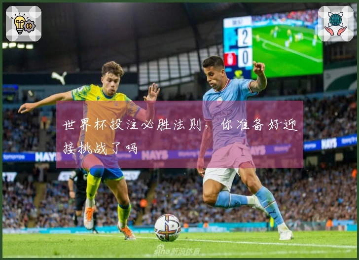 世界杯投注必胜法则，你准备好迎接挑战了吗