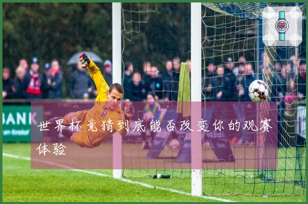 世界杯竞猜到底能否改变你的观赛体验